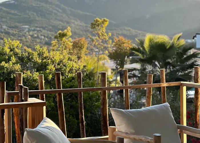 Casa Di Simone Corse Du Sud Villa Pietrosella